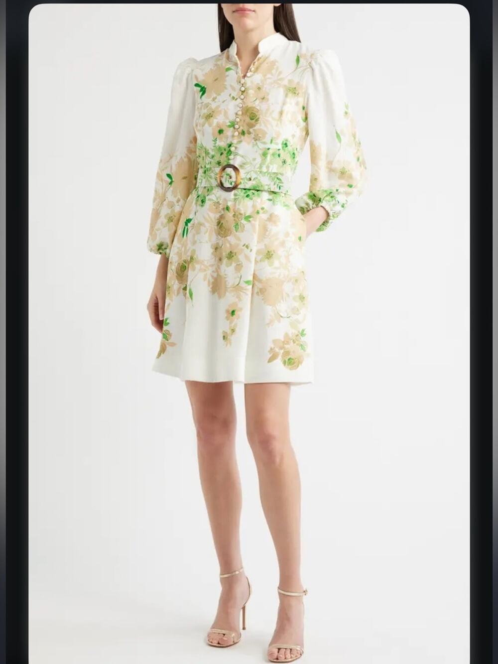 Tahari Border Print Belted Long Sleeve Dress Ivory Fern